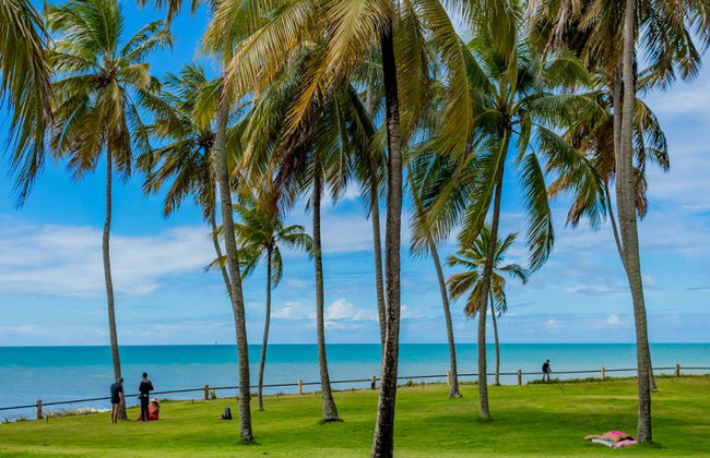 Spiaggia di Maracajaú - Tour di un giorno intero - Foto 3